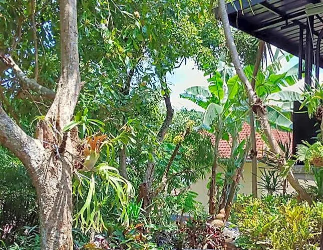 Kraras The & Donbiyu Rooftop Rendezvous Restaurant Munduk